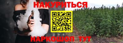 крисы Краснознаменск