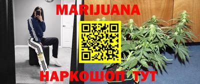 крисы Краснознаменск