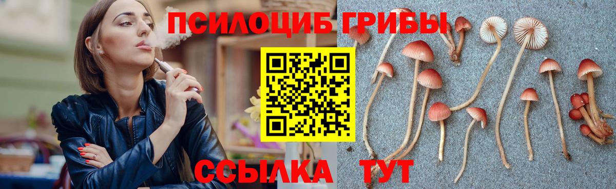 Псилоцибиновые грибы ЛСД  купить закладку  Долгопрудный  Галлюциногенные грибы мицелий  Вход с VPN 