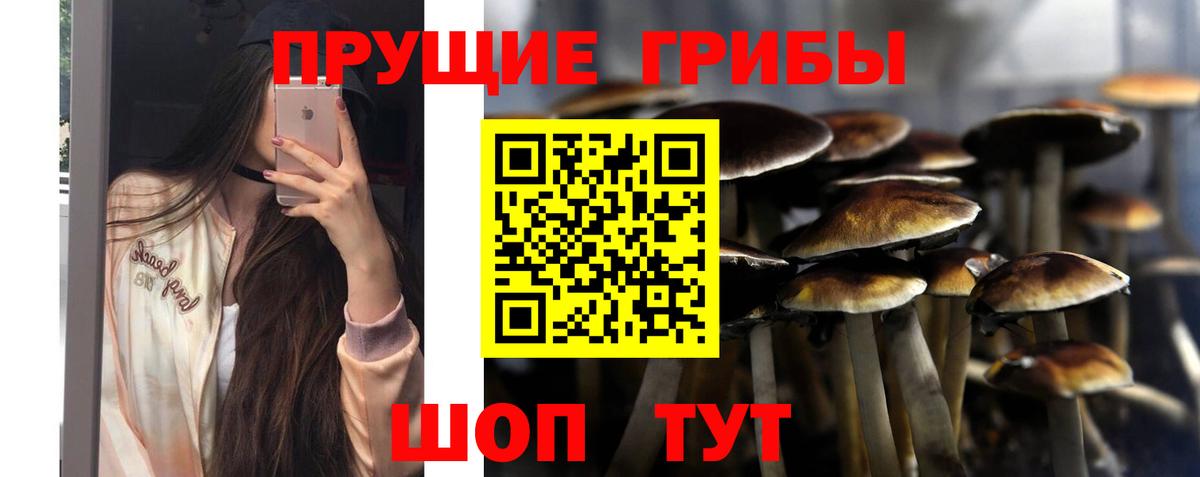 Галлюциногенные грибы Cubensis Долгопрудный