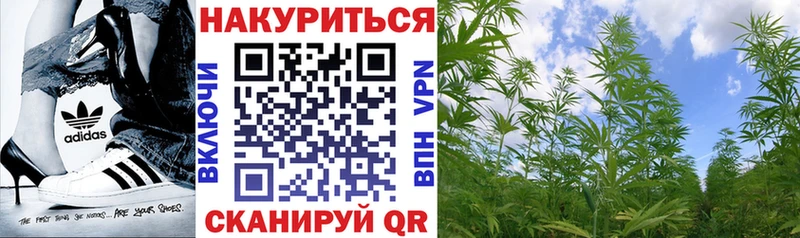 Марихуана SATIVA & INDICA закладки Долгопрудный